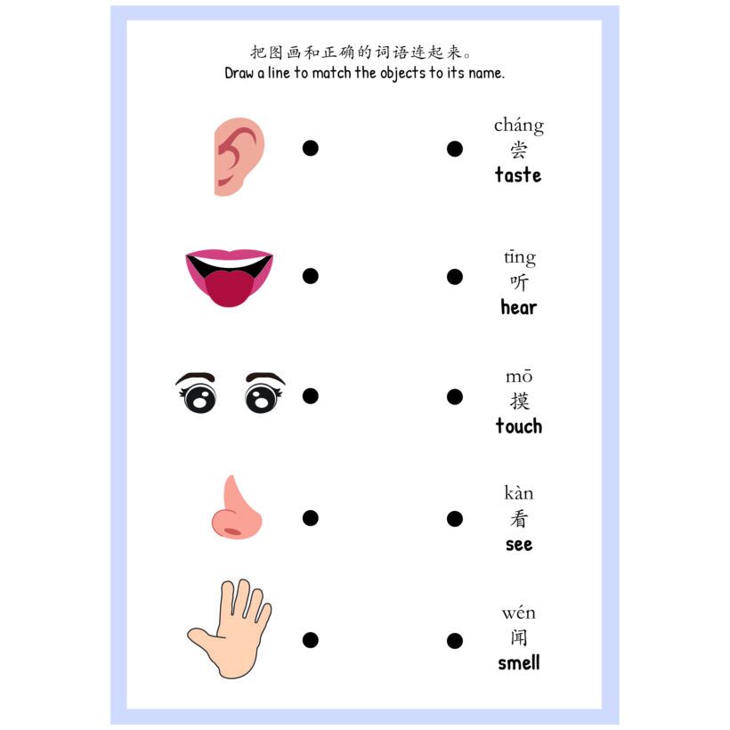 Learning about 5 Senses Worksheets 我的五感活动页 (Chinese) - Activities Digital Printable 3 Learning about 5 Senses Worksheets 我的五感活动页 (Chinese) - Activities Digital Printable - Image 3