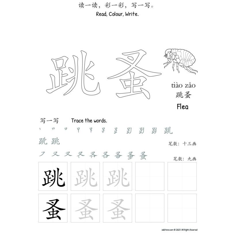 Learning about Insects Chinese Character Coloring (昆虫汉字填色)- Activities Digital Printable 3 Learning about Insects Chinese Character Coloring (昆虫汉字填色)- Activities Digital Printable - Image 3