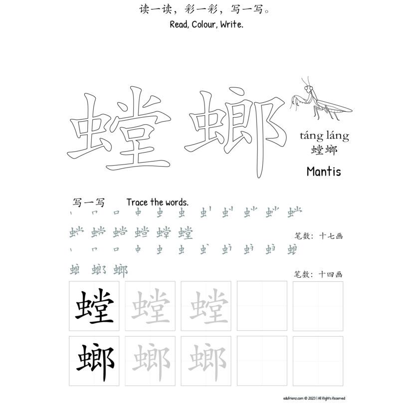 Learning about Insects Chinese Character Coloring (昆虫汉字填色)- Activities Digital Printable 2 Learning about Insects Chinese Character Coloring (昆虫汉字填色)- Activities Digital Printable - Image 2
